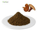 Wild Organic Ganoderma Lucidum Reishi Mushroom Powder Reishi Powder